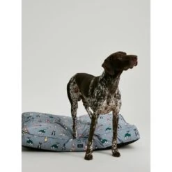 Joules Rainbow Dog Mattress -KONG || Danish Design || Tropiclean Shop I9637401 en 06