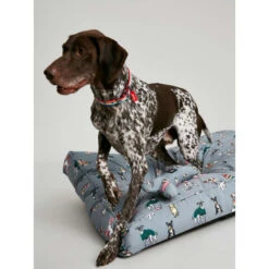 Joules Rainbow Dog Mattress -KONG || Danish Design || Tropiclean Shop I9637401 en 07