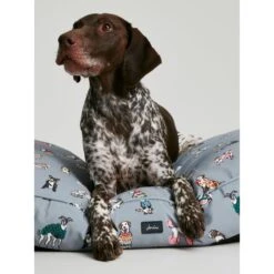 Joules Rainbow Dog Mattress -KONG || Danish Design || Tropiclean Shop I9637401 en 10