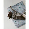 Joules Rainbow Dog Mattress -KONG || Danish Design || Tropiclean Shop I9637401 en 11