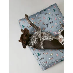 Joules Rainbow Dog Mattress