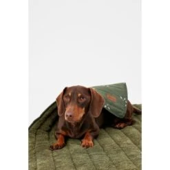 Joules Bee Print Dog Blanket -KONG || Danish Design || Tropiclean Shop I9637422 en 12