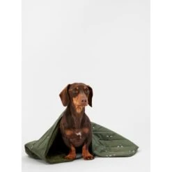 Joules Bee Print Dog Blanket -KONG || Danish Design || Tropiclean Shop I9637422 en 13
