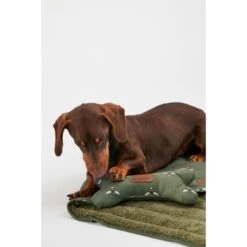 Joules Bee Print Dog Blanket -KONG || Danish Design || Tropiclean Shop I9637422 en 17