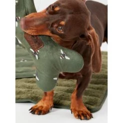 Joules Bee Print Dog Blanket -KONG || Danish Design || Tropiclean Shop I9637422 en 18