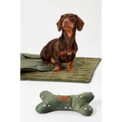 Joules Bee Print Dog Blanket -KONG || Danish Design || Tropiclean Shop I9637422 en 19