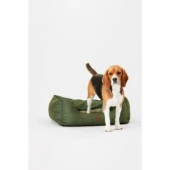 Joules Bee Print Box Dog Bed -KONG || Danish Design || Tropiclean Shop I9637423 en 02