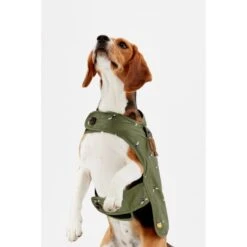 Joules Bee Print Dog Raincoat -KONG || Danish Design || Tropiclean Shop I9637425 en 07