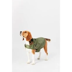 Joules Bee Print Dog Raincoat -KONG || Danish Design || Tropiclean Shop I9637425 en 09