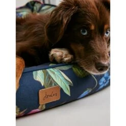 Joules Floral Box Dog Bed