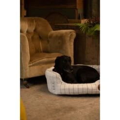 Petface White Plush Oval Medium Dog Bed -KONG || Danish Design || Tropiclean Shop I9647285 en 04