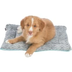 Trixie Junior Lying Dog Mat - Light Grey/Mint