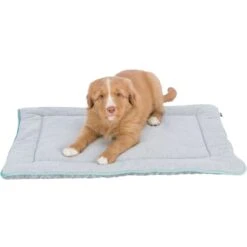 Trixie Junior Lying Dog Mat - Light Grey/Mint -KONG || Danish Design || Tropiclean Shop I9658330 en 05