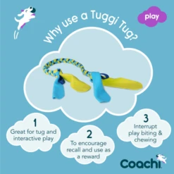 Coachi Tuggi Tug Toy For Dogs - Navy, Lime & Light Blue -KONG || Danish Design || Tropiclean Shop I9659291 en 04