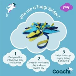 Coachi Tuggi Spider Toy For Dogs - Navy, Lime & Light Blue -KONG || Danish Design || Tropiclean Shop I9659292 en 04
