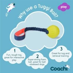 Coachi Tuggi Ball Toy For Dogs - Navy, Coral & Lime -KONG || Danish Design || Tropiclean Shop I9659295 en 04