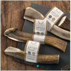 Elkwood 100% Natural Antler Chew -KONG || Danish Design || Tropiclean Shop I9677286 en 01