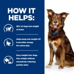 Hill's Prescription Diet Metabolic Weight Management Wet Dog Food - Chicken -KONG || Danish Design || Tropiclean Shop I9680467 en 08