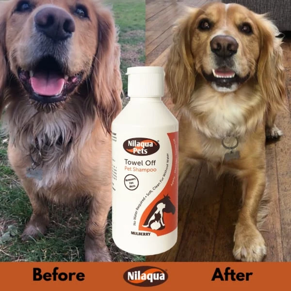 Nilaqua Pets Towel Off Cat & Dog Shampoo - Mulberry 4 Nilaqua Pets Towel Off Cat & Dog Shampoo - Mulberry - Image 2
