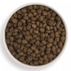 Forthglade Lightly Baked Natural Dry Dog Food - Chicken With Sweet Potato -KONG || Danish Design || Tropiclean Shop I9683379 en 05