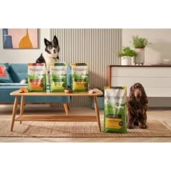 Forthglade Lightly Baked Natural Dry Dog Food - Chicken With Sweet Potato -KONG || Danish Design || Tropiclean Shop I9683379 en 07