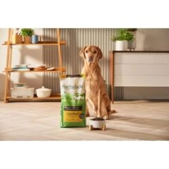 Forthglade Lightly Baked Natural Dry Dog Food - Chicken With Sweet Potato -KONG || Danish Design || Tropiclean Shop I9683379 en 18