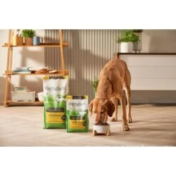 Forthglade Lightly Baked Natural Dry Dog Food - Chicken With Sweet Potato -KONG || Danish Design || Tropiclean Shop I9683379 en 22