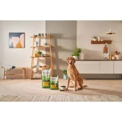 Forthglade Lightly Baked Natural Dry Dog Food - Chicken With Sweet Potato -KONG || Danish Design || Tropiclean Shop I9683379 en 23