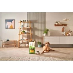 Forthglade Lightly Baked Natural Dry Dog Food - Chicken With Sweet Potato -KONG || Danish Design || Tropiclean Shop I9683379 en 25