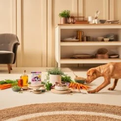 Forthglade Complete Meal Wholegrain Puppy Wet Dog Food - Duck With Oats & Vegetables