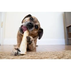 Earth Animal No Hide The Feast Roll Dog Chew Treats -KONG || Danish Design || Tropiclean Shop I9697434 en 10