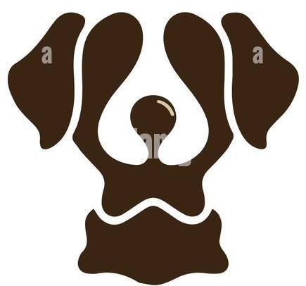 KONG || Danish Design || Tropiclean Shop