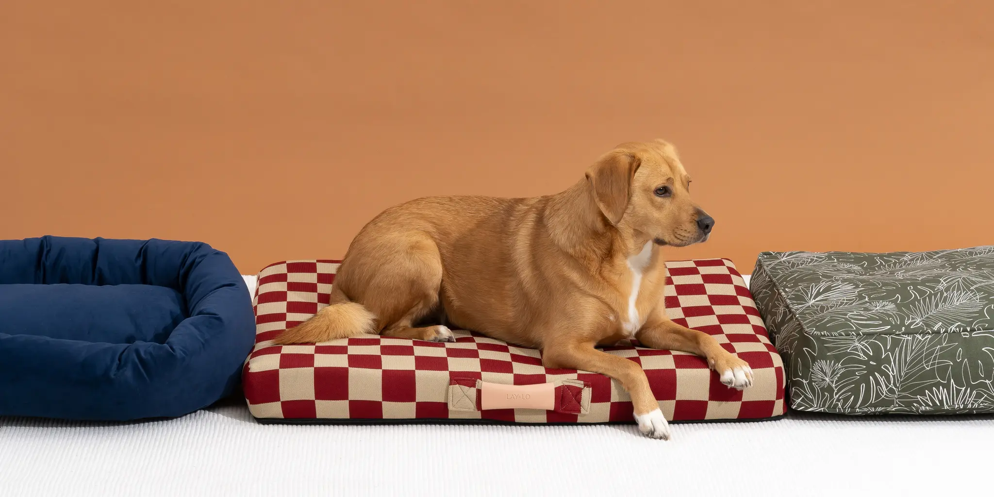 KONG || Danish Design || Tropiclean Shop -KONG || Danish Design || Tropiclean Shop dog bed 2048px 5638 2x1 1